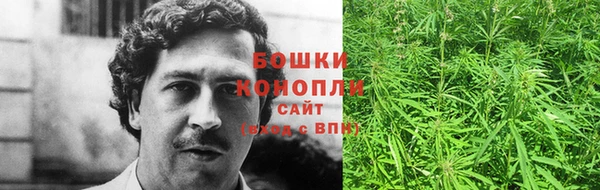 бошки Алексин