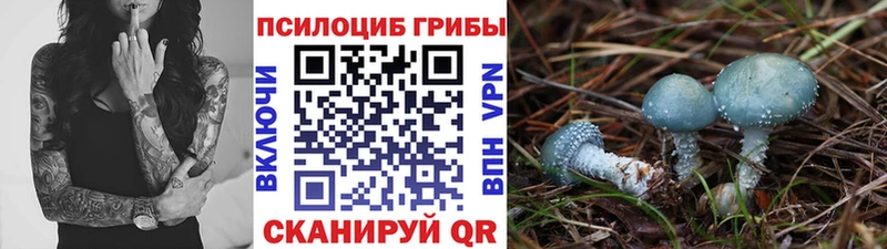 Галлюциногенные грибы MAGIC MUSHROOMS  наркота  Сосновоборск 